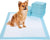 Pet Training and Puppy Pads Pee Pads for Dogs 22