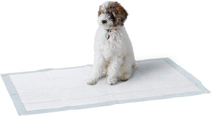 Dog and Puppy Potty Training Pads, Regular Absorbency, Giant (27.5 x 44 Inches) - Pack of 40