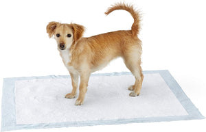 Leak-Proof 5-Layer Potty With Quick-dry Surface Dog And Puppy Training Pads