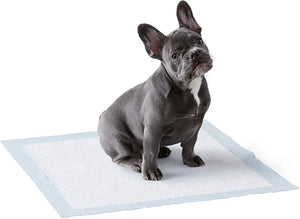 Leak-proof 5-Layer Pee Pads with Quick-dry Surface for Potty Training Dog and Puppy Training Pads